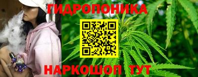 мдпв Новокубанск