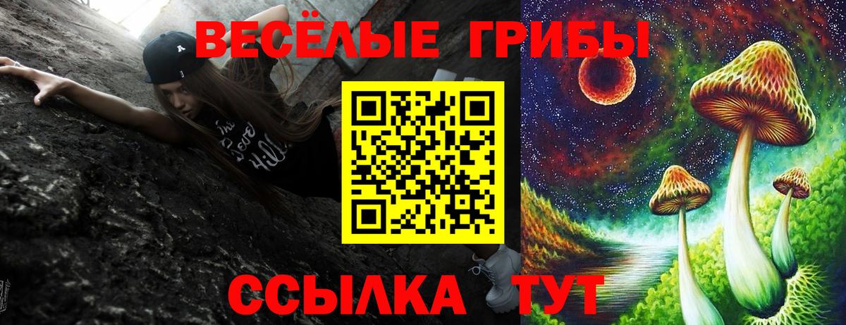 Вичуга  Псилоцибиновые грибы Psilocybe  Псилоцибиновые грибы прущие грибы  Вход с VPN 
